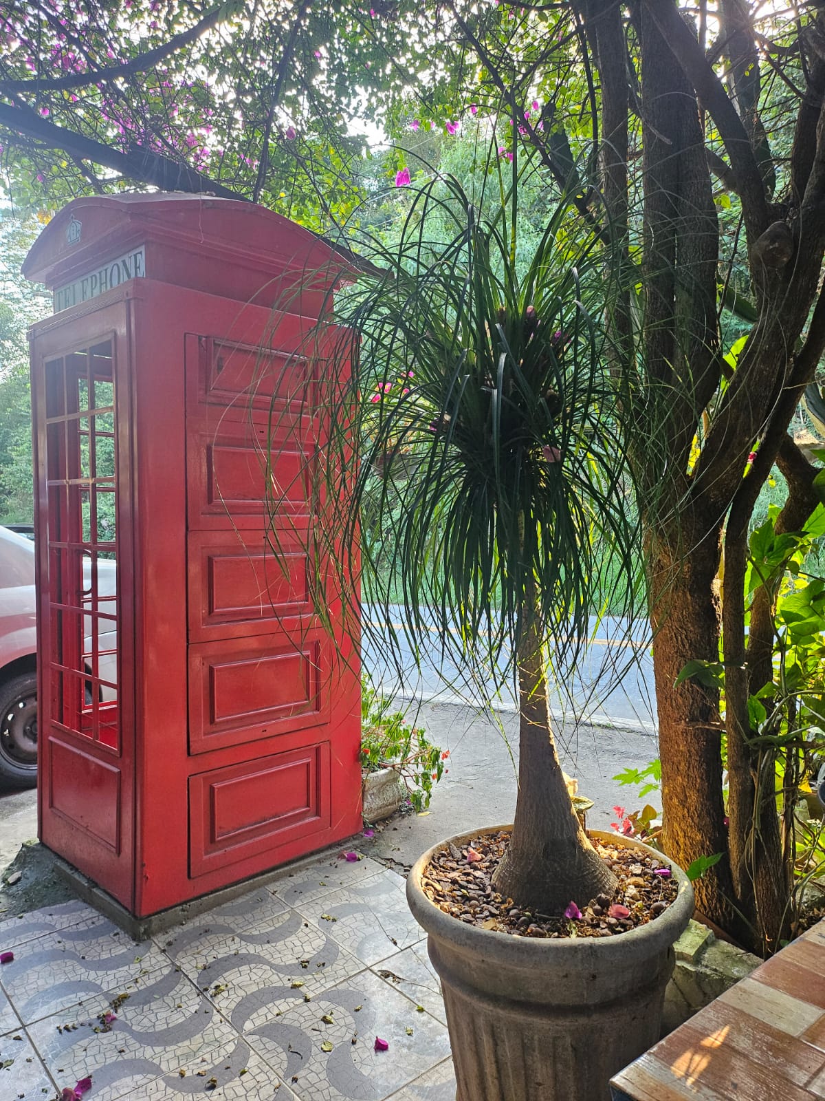 Cabine telefônica inglesa vermelha ao lado de vaso com planta, na entrada do antiquário